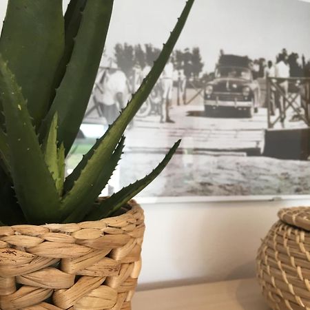 Apartament Lo Passador Deltebre Εξωτερικό φωτογραφία