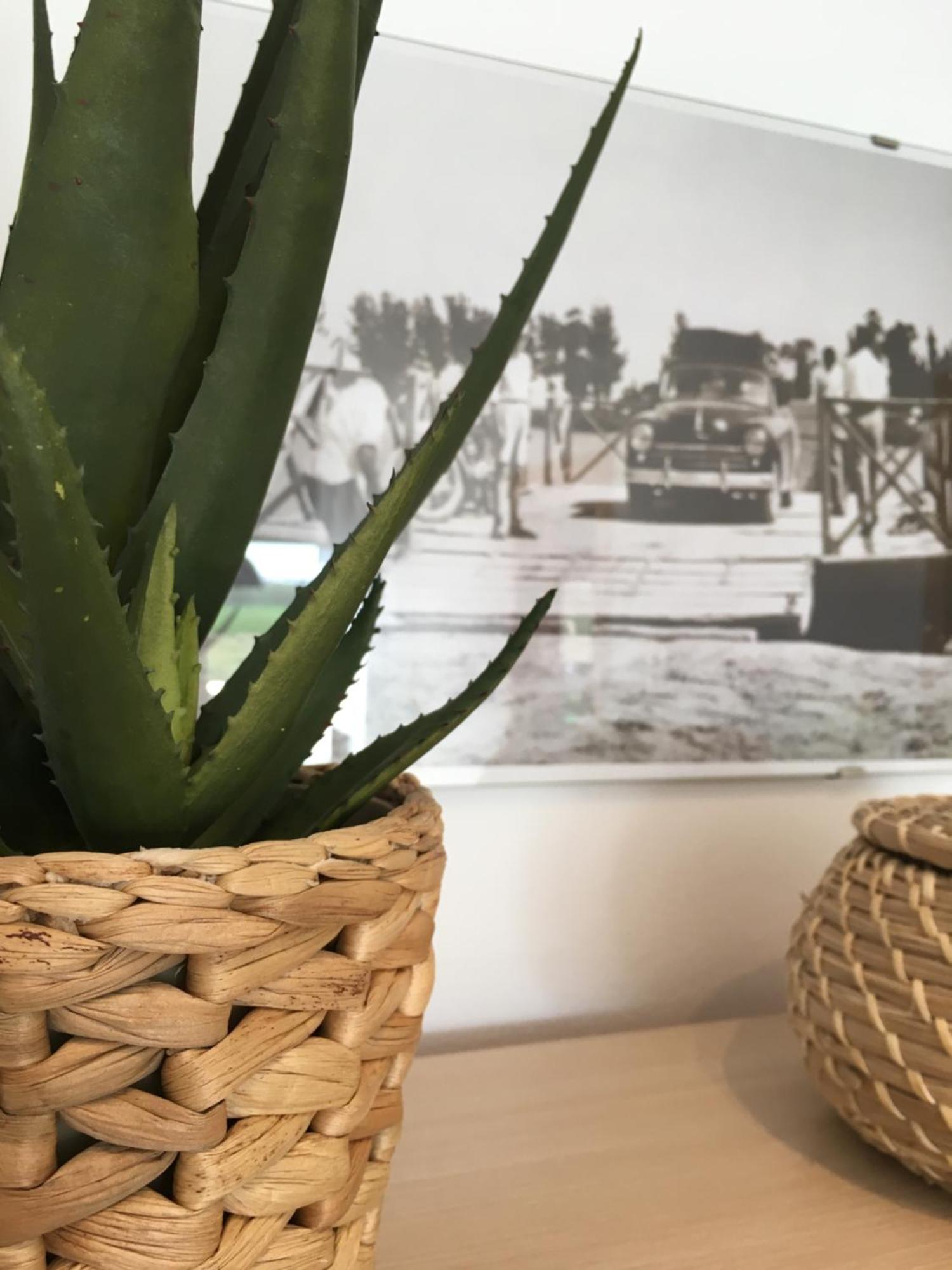 Apartament Lo Passador Deltebre Εξωτερικό φωτογραφία