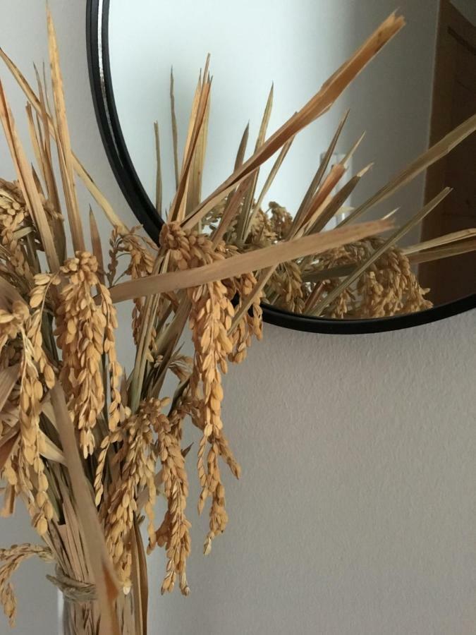 Apartament Lo Passador Deltebre Εξωτερικό φωτογραφία